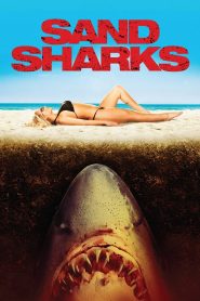 Yify Sand Sharks 2011
