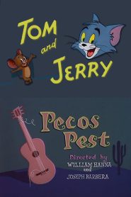 Yify Pecos Pest 1955
