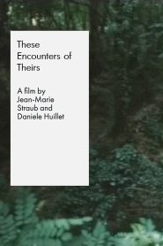 Yify These Encounters of Theirs 2006