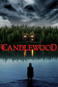 Yify Candlewood 2024