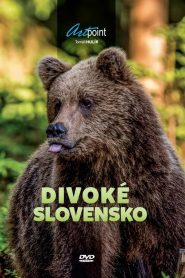 Yify Wild Slovakia 2015