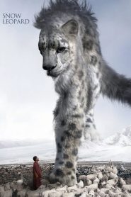 Yify Snow Leopard 2024