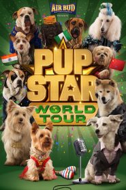 Yify Pup Star: World Tour 2018