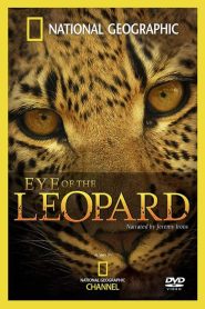 Yify Eye of the Leopard 2006