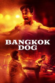 Yify Bangkok Dog 2024