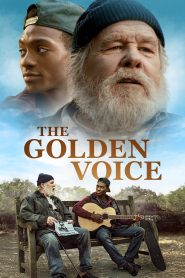 Yify The Golden Voice 2025