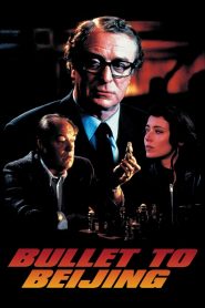 Yify Bullet to Beijing 1995