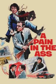Yify A Pain in the Ass 1973