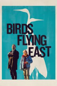 Yify Birds Flying East 2024