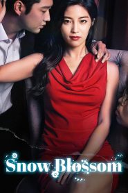 Yify Snow Blossom 2020