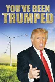 Yify You’ve Been Trumped 2012
