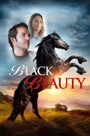 Yify Black Beauty 2015