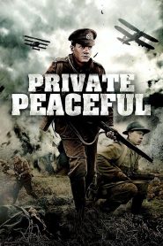 Yify Private Peaceful 2012
