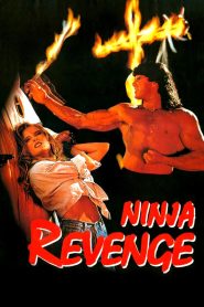 Yify Ninja Vengeance 1993
