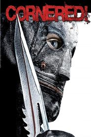 Yify Cornered! 2009