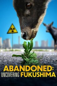 Yify Uncovering Fukushima 2022