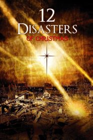 Yify The 12 Disasters of Christmas 2012