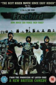 Yify Freebird 2008