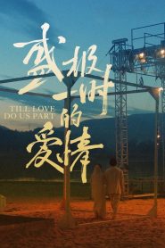 Yify Till Love Do Us Part 2024