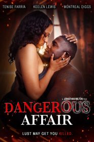 Yify Dangerous Affair 2024