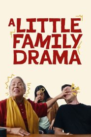 Yify A Little Family Drama 2025