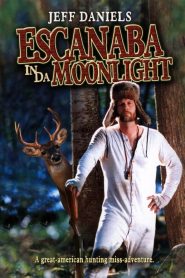 Yify Escanaba in da Moonlight 2001