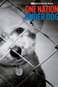 Yify One Nation Under Dog 2012