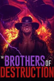Yify Brothers of Destruction 2020