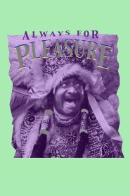 Yify Always for Pleasure 1978