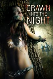 Yify Drawn Into the Night 2022