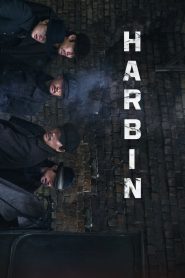 Yify Harbin 2024