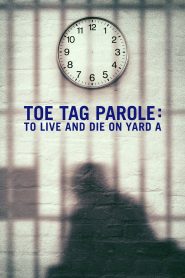 Yify Toe Tag Parole: To Live and Die on Yard A 2015
