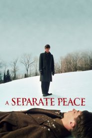 Yify A Separate Peace 1972