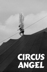 Yify Circus Angel 1965