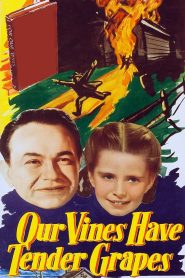 Yify Our Vines Have Tender Grapes 1945