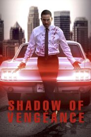 Yify Shadow of Vengeance 2024