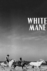 Yify White Mane 1953