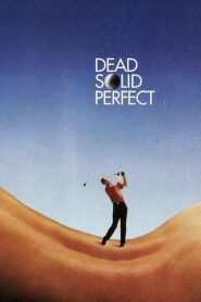 Yify Dead Solid Perfect 1988