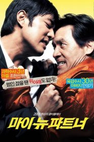 Yify My New Partner 2008