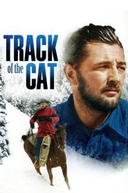 Yify Track of the Cat 1954