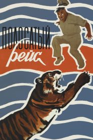 Yify Striped Trip 1961