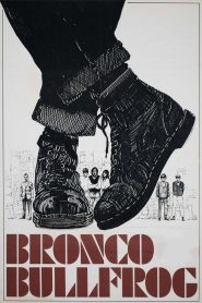 Yify Bronco Bullfrog 1969