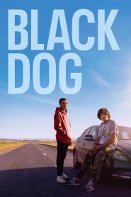 Yify Black Dog 2023