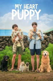 Yify My Heart Puppy 2023