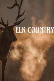 Yify Elk Country 2025
