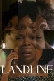 Yify Landline 2025
