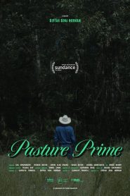Yify Pasture Prime 2024