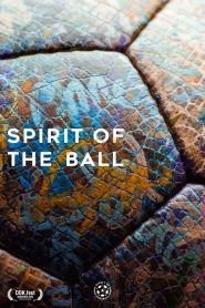 Yify Spirit of the Ball 2019