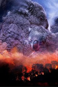 Yify Wild Australia: After the Fires 2020