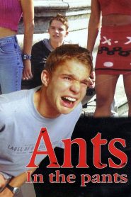 Yify Ants in the Pants 2000